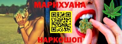 крисы Лесосибирск