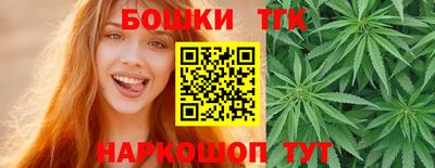крисы Лесосибирск