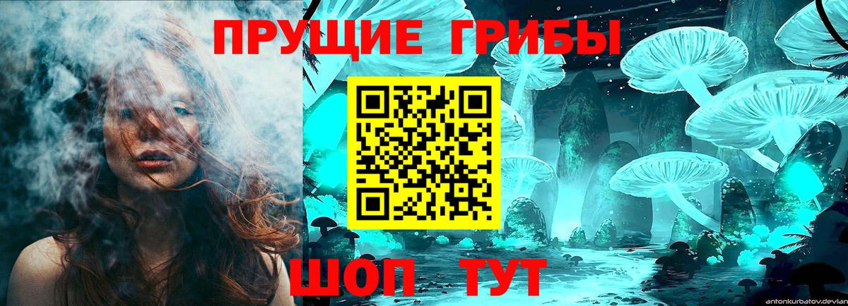 Псилоцибиновые грибы MAGIC MUSHROOMS Домодедово